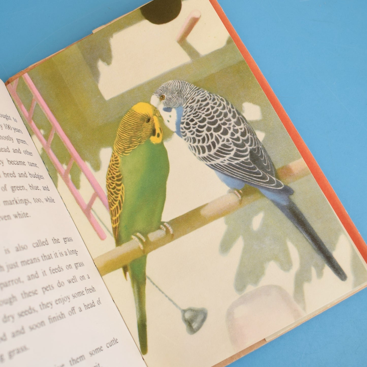 Vintage 1950s Ladybird Book of Pets