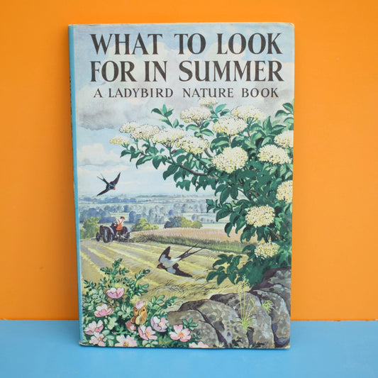 Vintage 1960s Ladybird Book - What to Look for in Summer