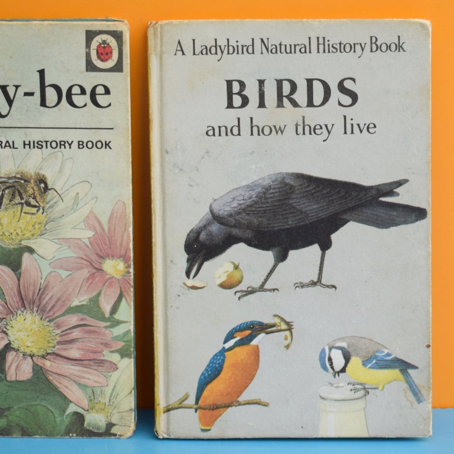 Vintage Ladybird Books - Trees / Life of the Honey Bee / Birds