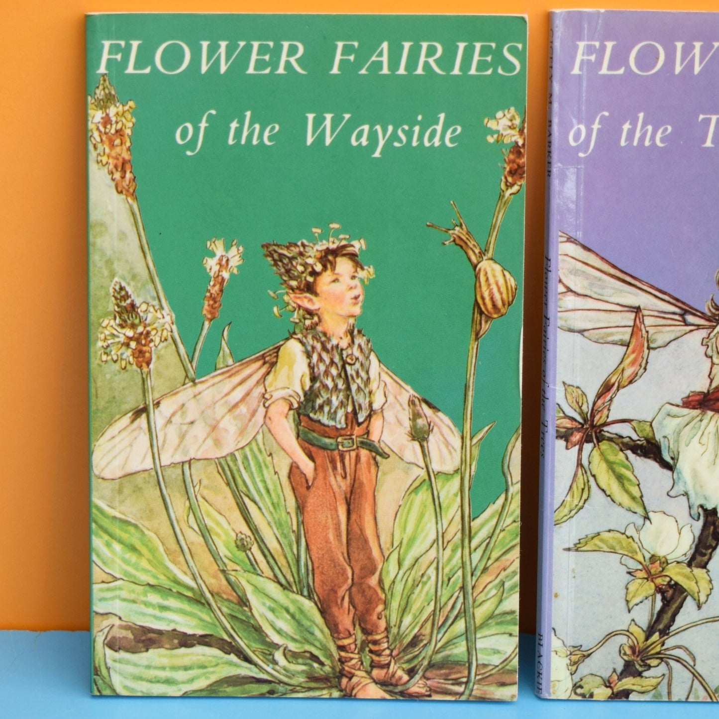 Vintage 1980s Flower Fairy Books