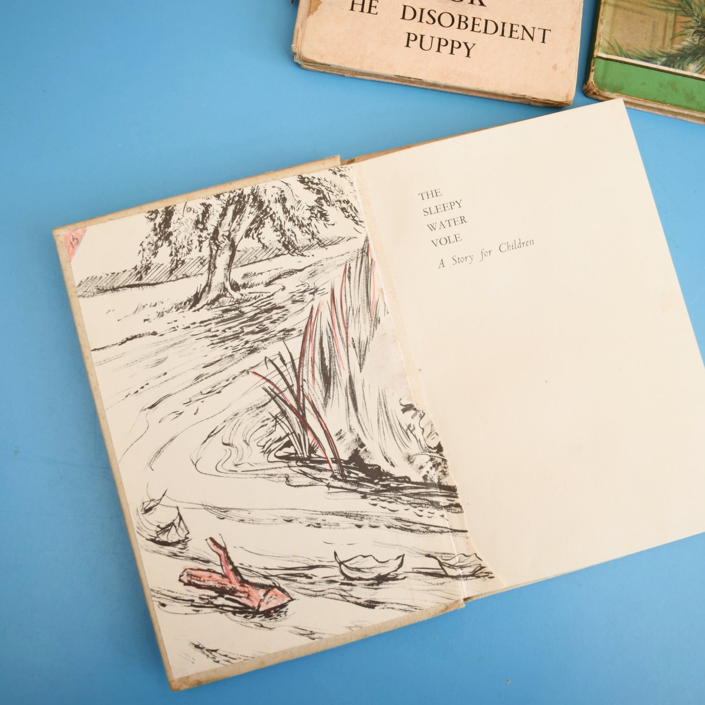 Vintage Ladybird Books - Wise Robin, Ned, Mick, Pony