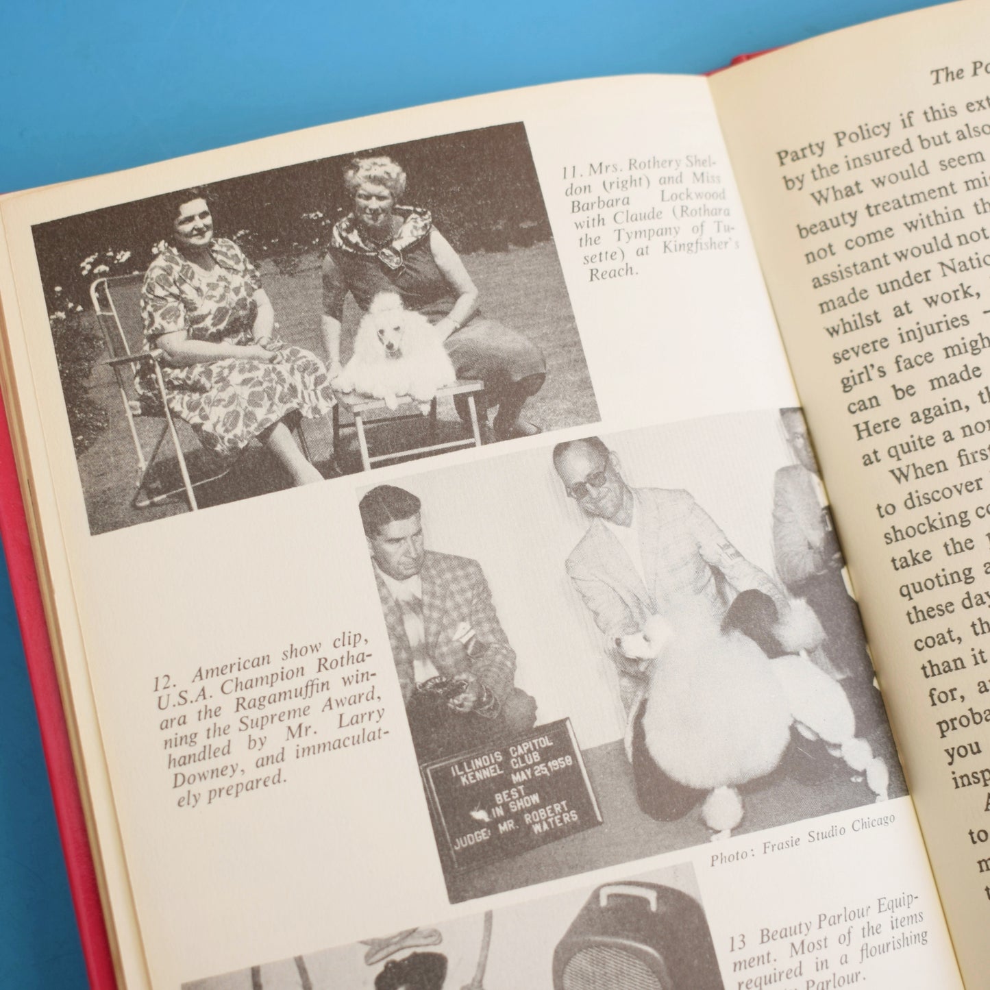 Vintage 1960s Clipping Your Poodle Book by Pineapple Retro