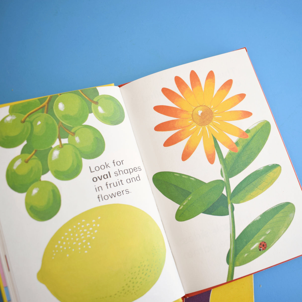 Vintage 1980s Ladybird Books - Colours, Counting, Big and Little x4 by Pineapple Retro