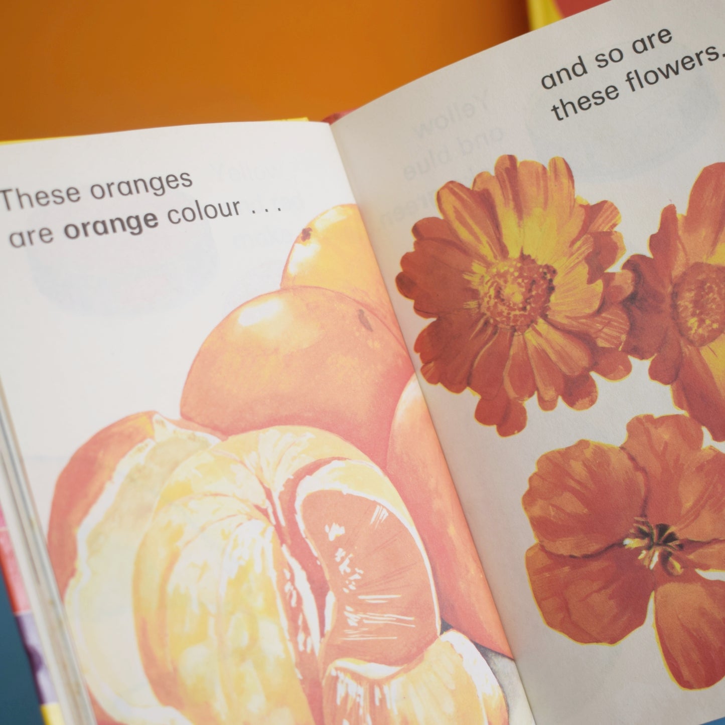 Vintage Ladybird Books - Colours, Shapes ABC, Time, Counting, Big and Little