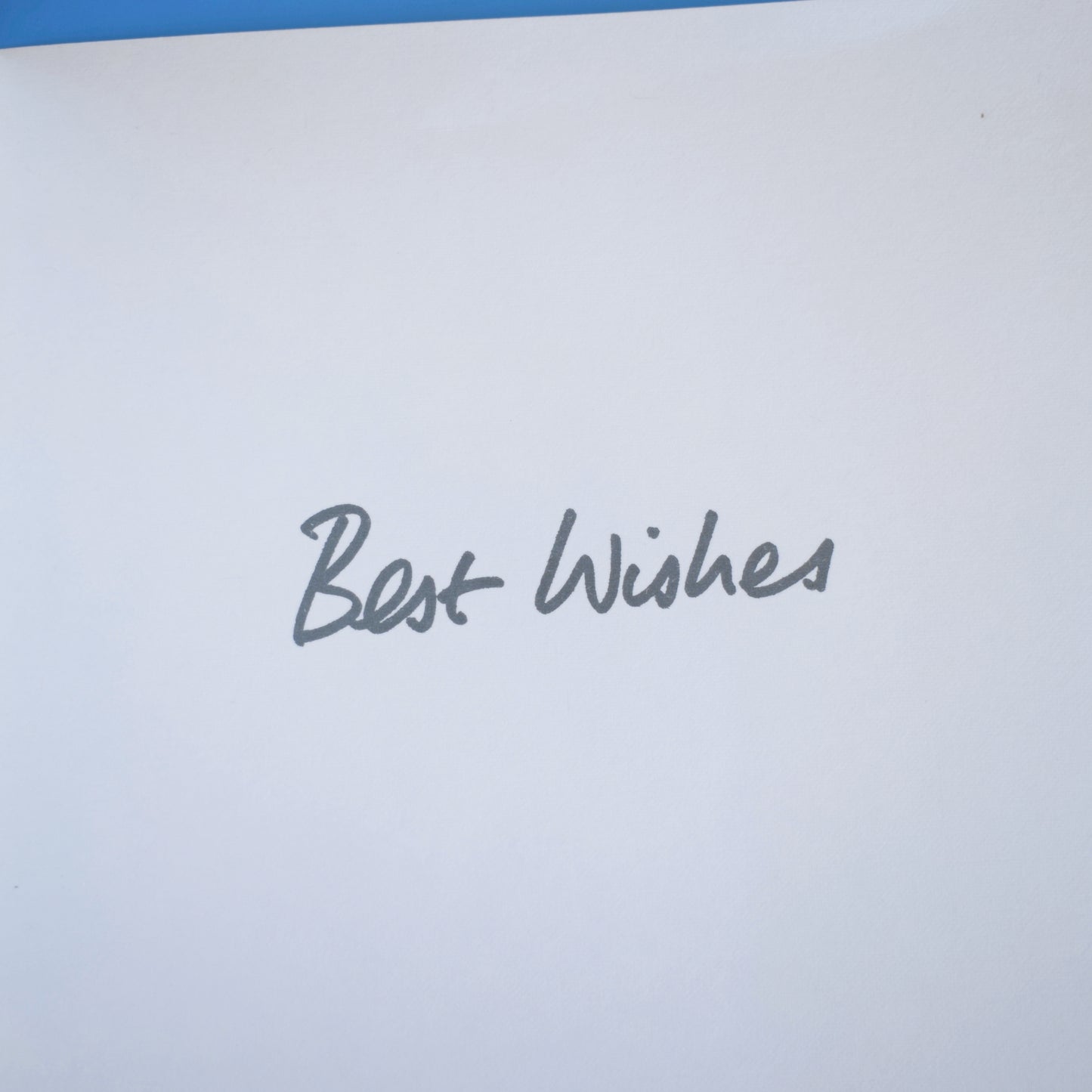 Vintage 1970s Large Best Wishes Greeting Card - by Romanelli - Cat