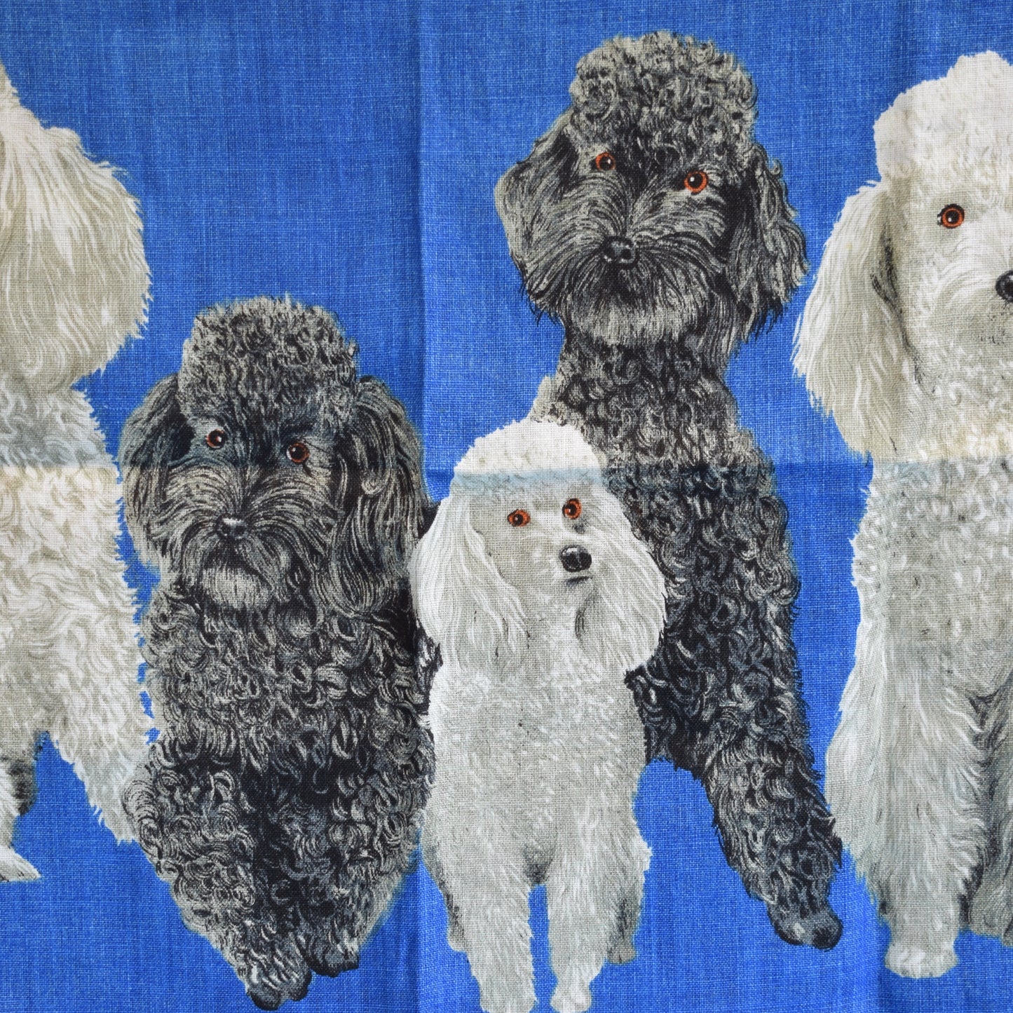 Vintage 1960s Tea Towel - Poodles - Kitsch