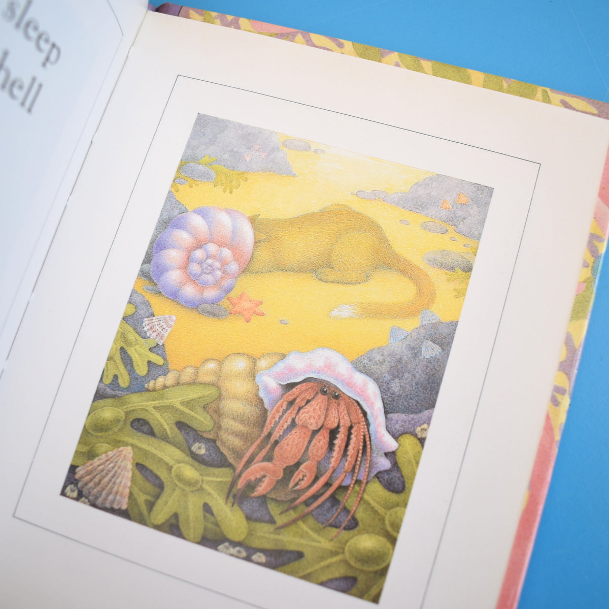 Vintage 1980s Books - Nicola Bayley - Parrot & Crab Cat by Pineapple Retro