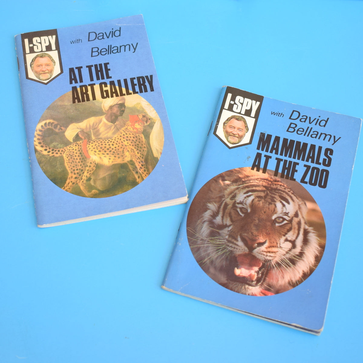 Vintage 1980s Book Set - I-Spy With David Bellamy by Pineapple Retro