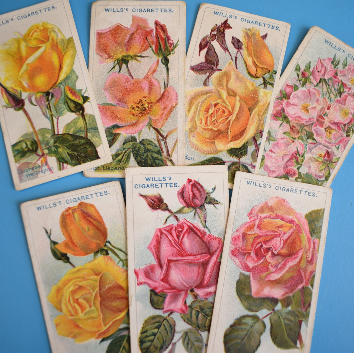 Vintage 1920s Wills's Cigarette Cards- Roses - Full Set by Pineapple Retro
