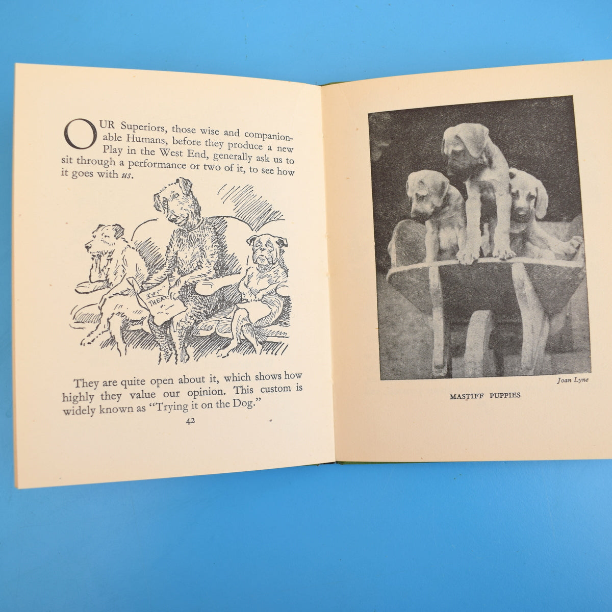 Vintage 1950s In Praise Of Dogs Book by Vintage