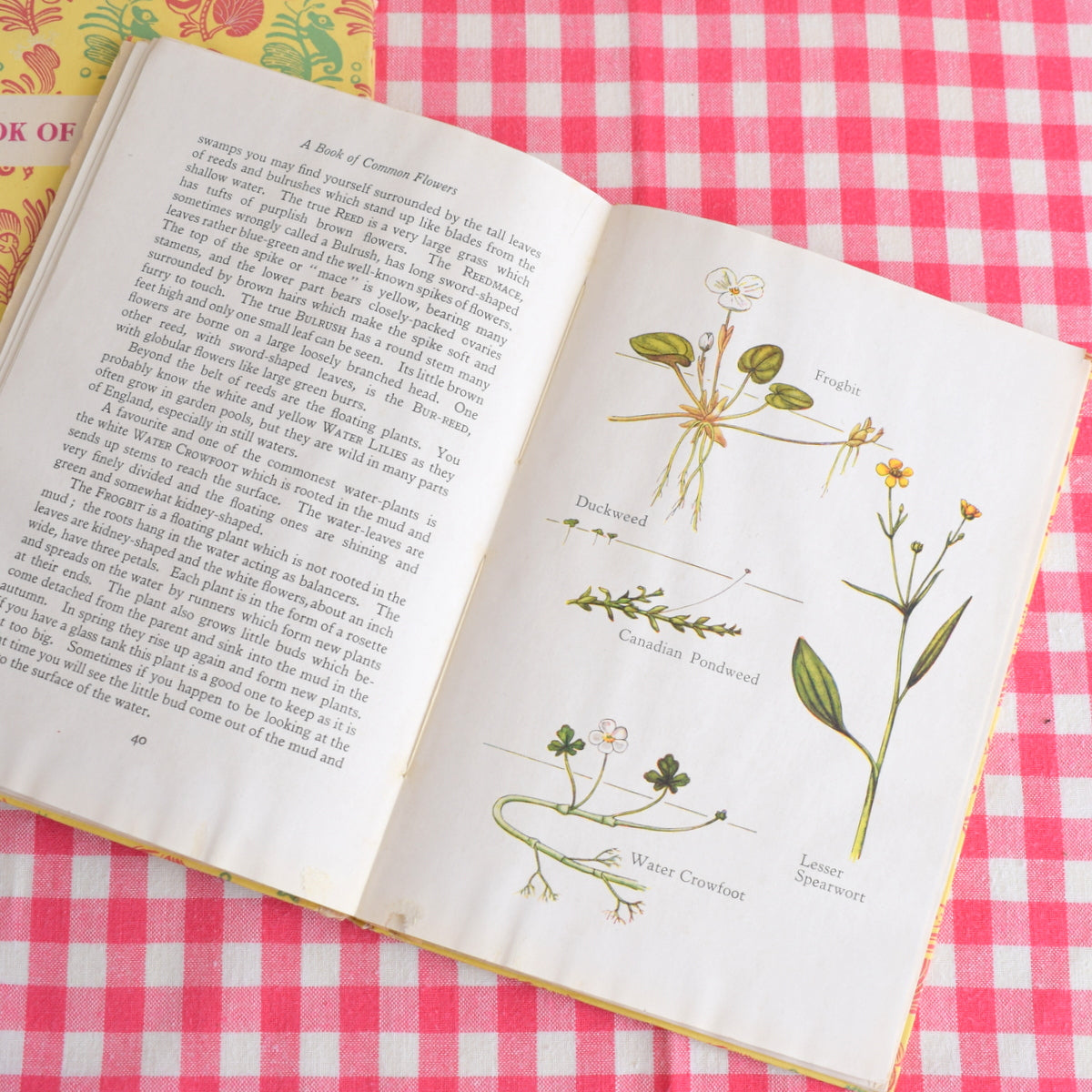 Vintage 1940s Oxford University Press Books - Pretty by Pineapple Retro