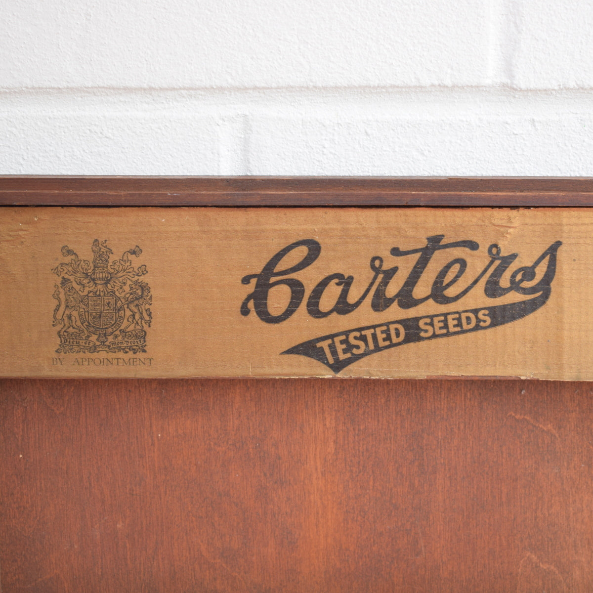 Vintage 1950s Carters Seed Advertising Display Shelf by Pineapple Retro