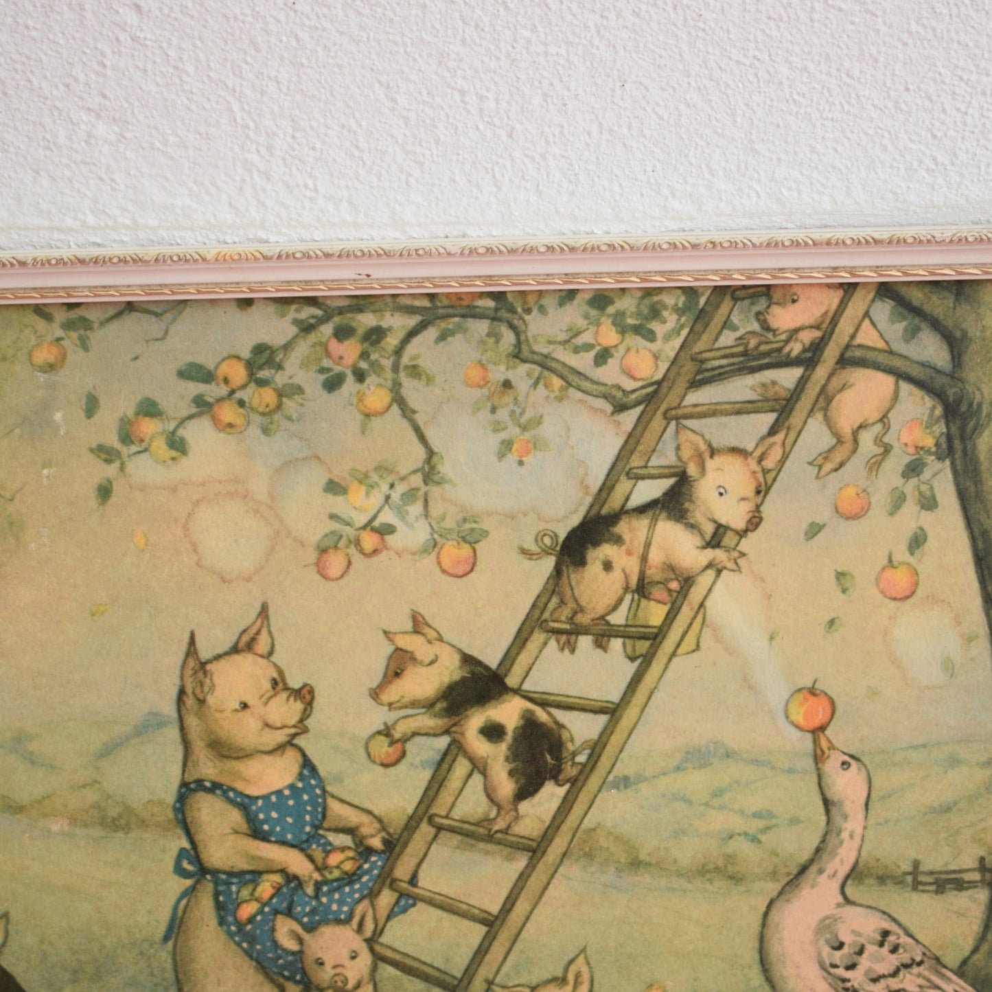 Vintage 1950s Molly Brett Picking Apples Picture