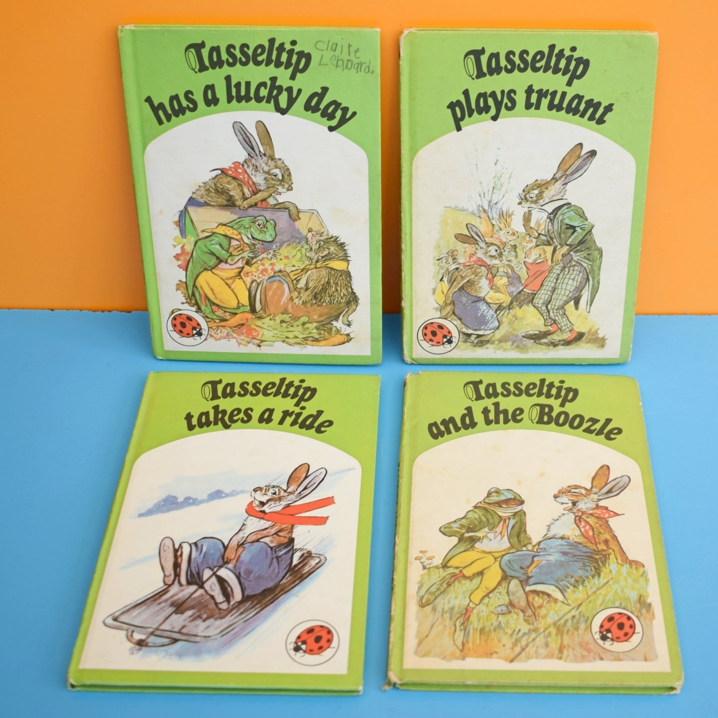 Vintage Ladybird Books - Tasseltip x4
