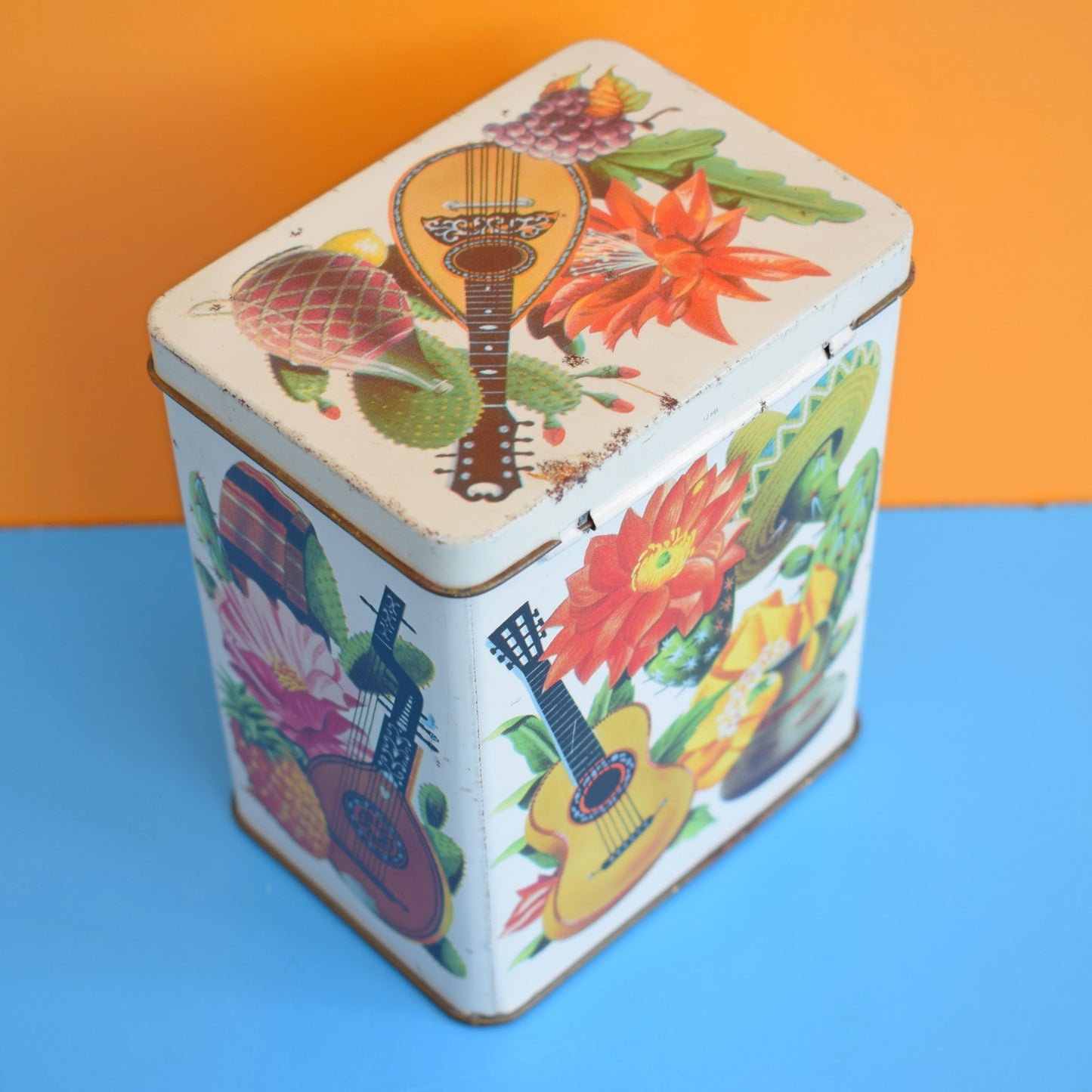 Vintage 1960s Cactus Print Tin