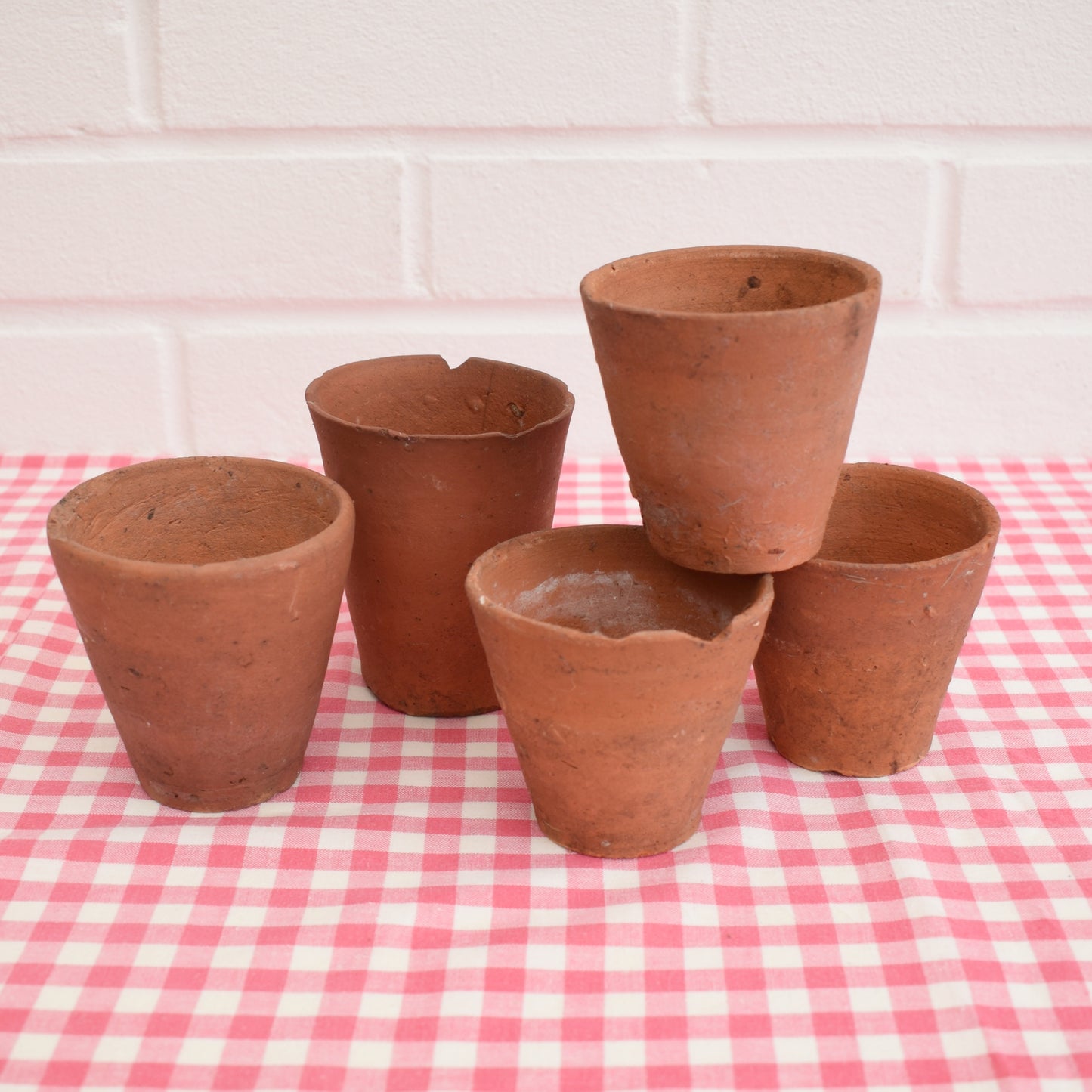 Vintage Small Terracotta Pots In Wooden Seed Tray