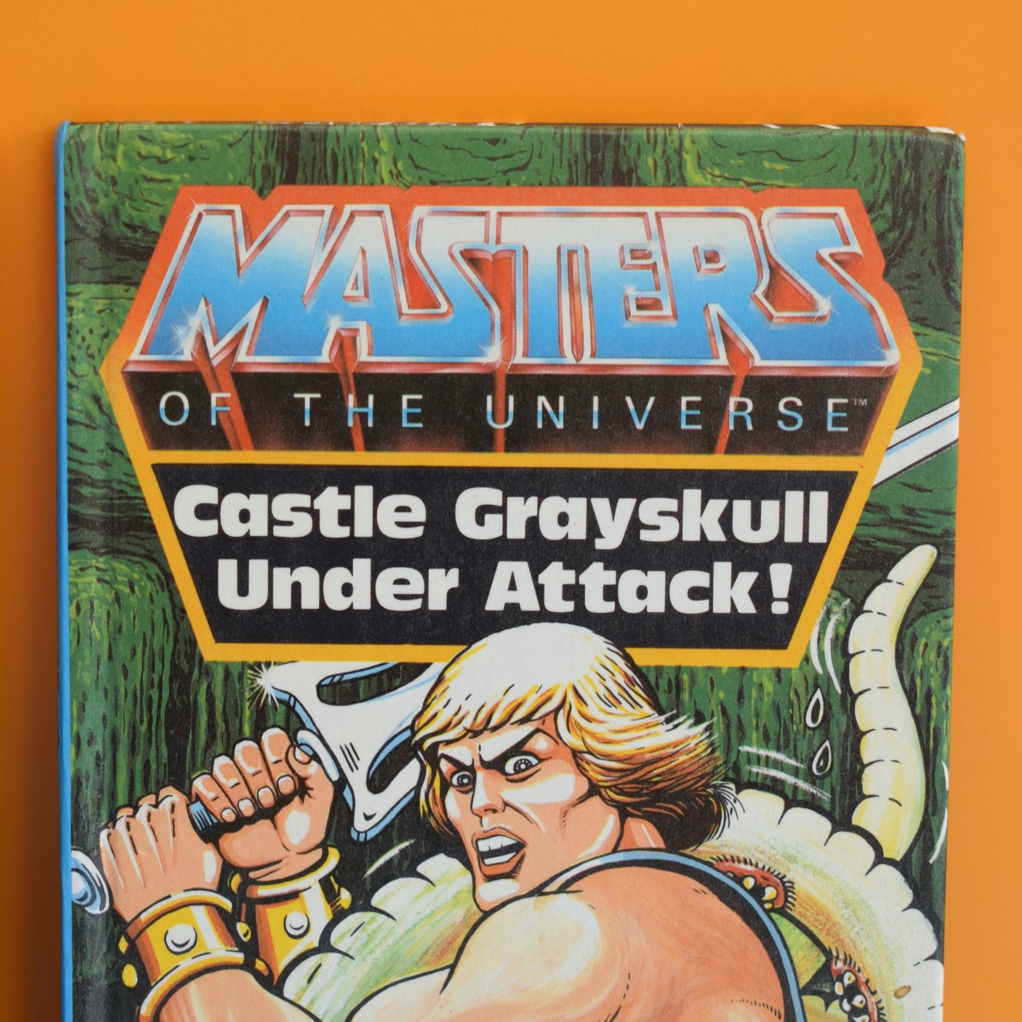 Vintage 1980s Ladybird Books - He-Man / She Ra