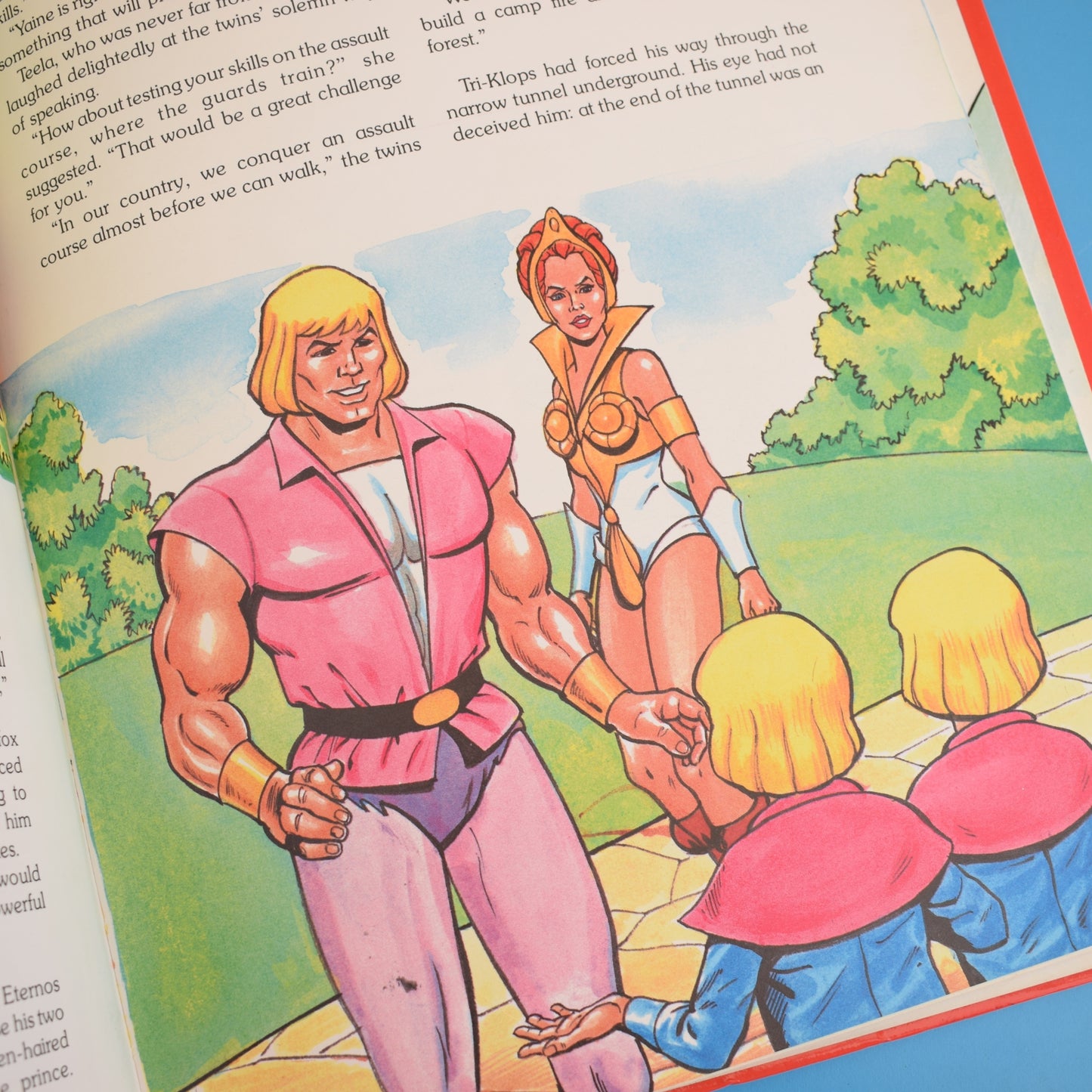 Vintage 1980s He-Man Masters Of the Universe Book by Pineapple Retro
