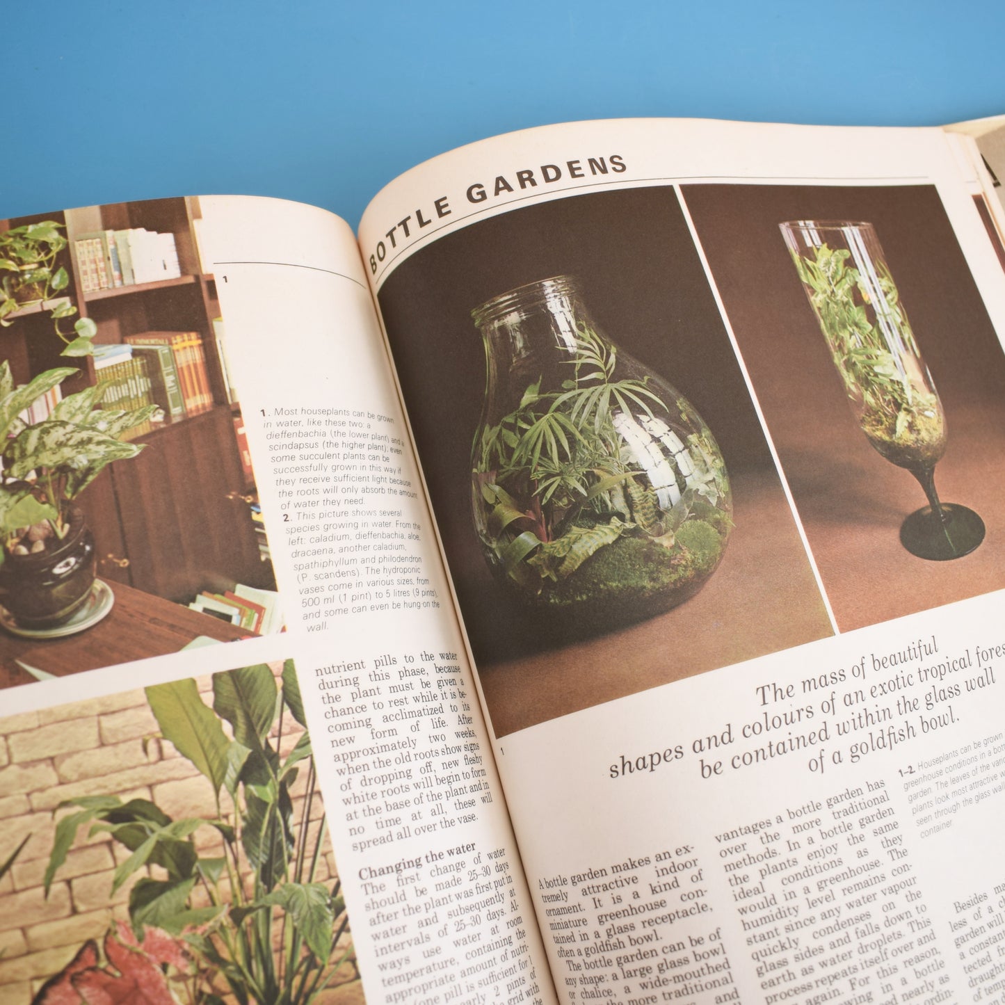Vintage 1970s House Plant Gardening Book .