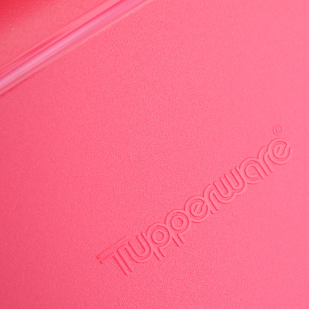 Vintage 1980s Tupperware Picnic Plates - Harlequin