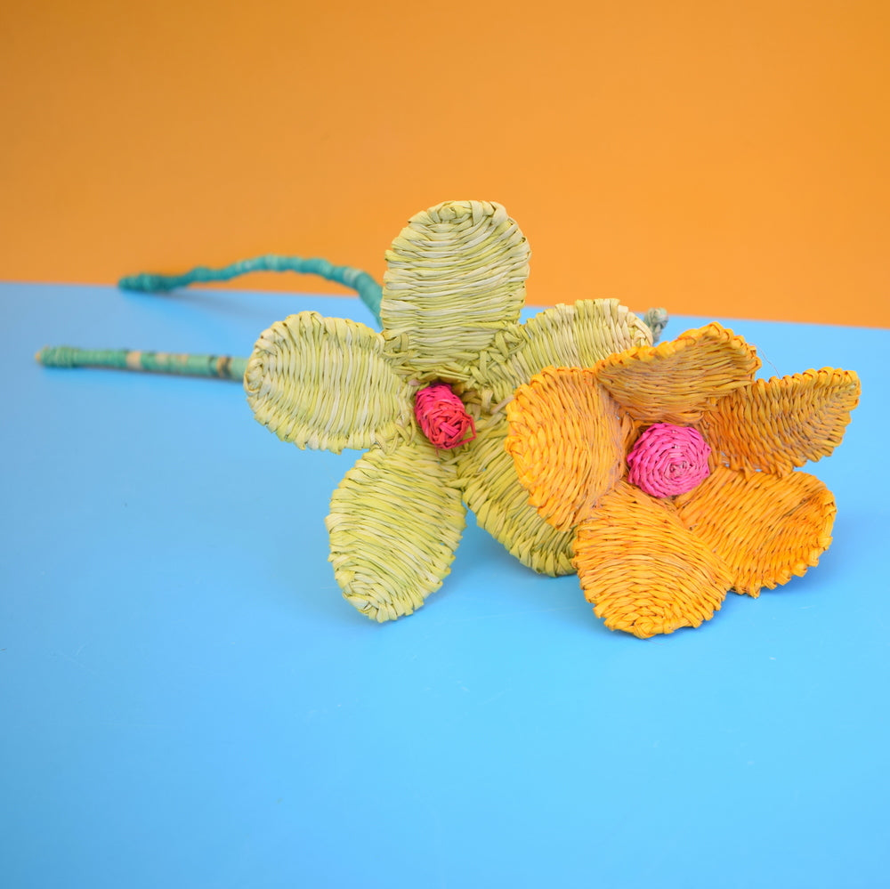 Vintage Sea Grass Flowers - Orange, Yellow / Pink