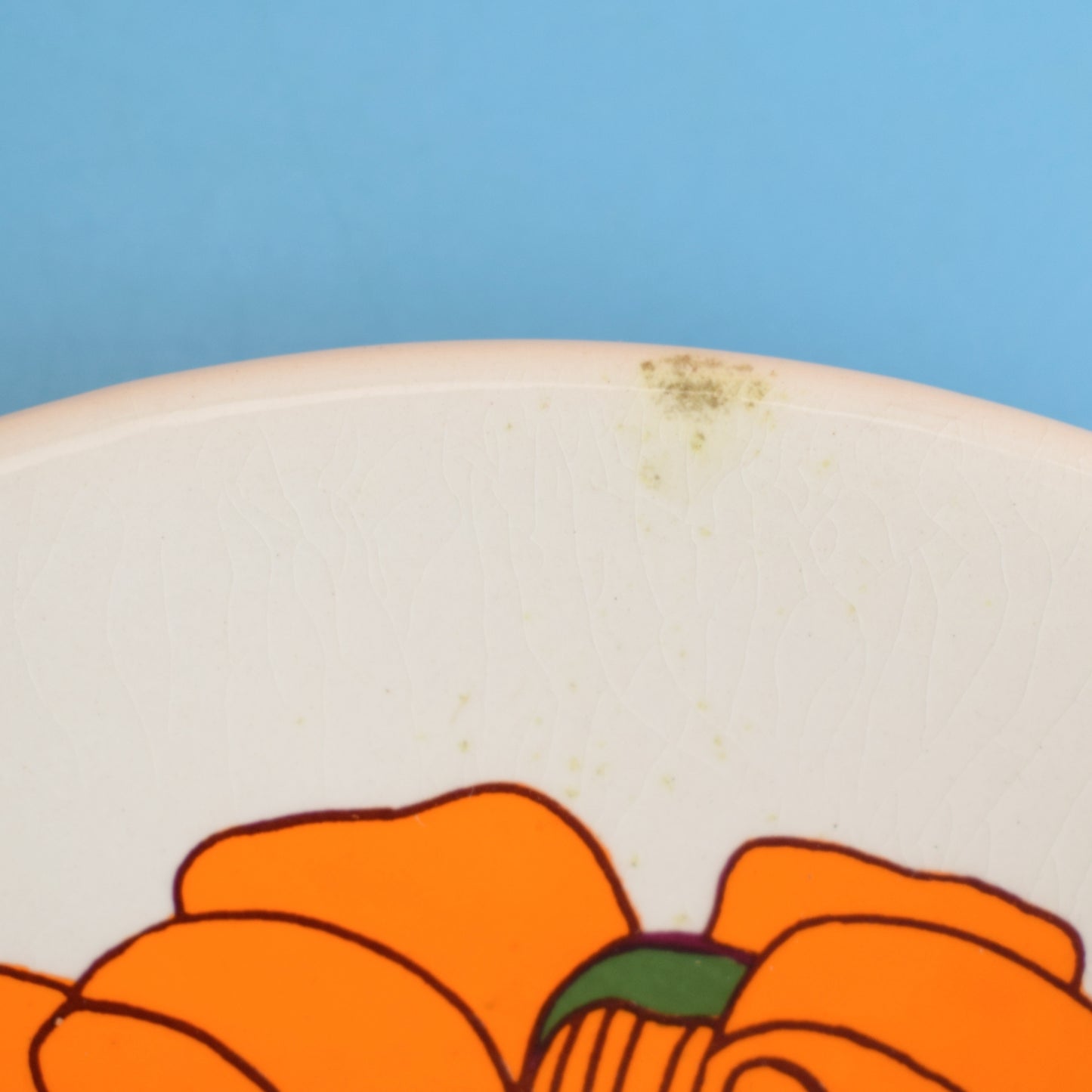 Vintage 1970s Flower Power Plates - Washington Pottery