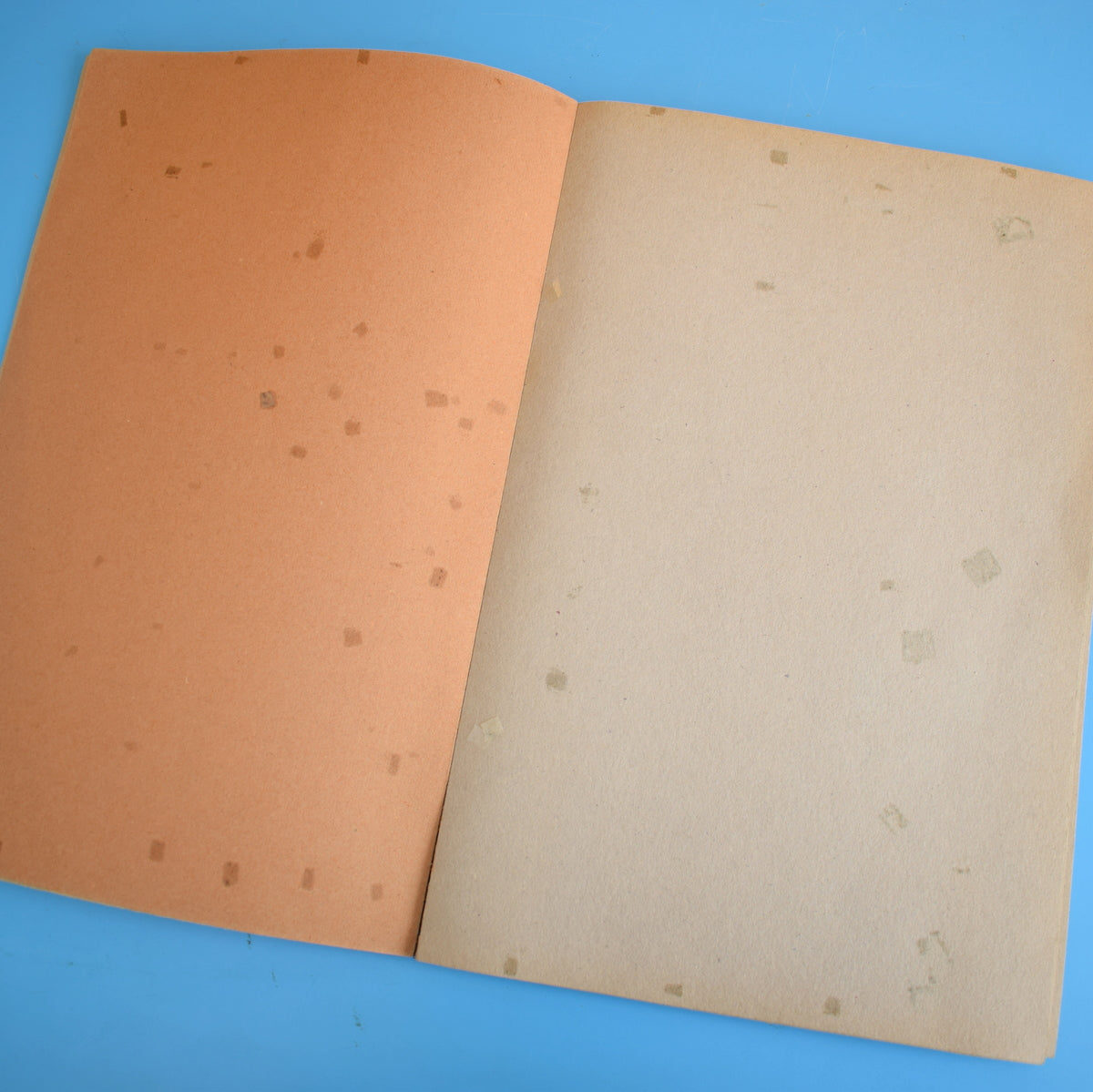 Vintage 1970s Scrapbook - Leo Lion