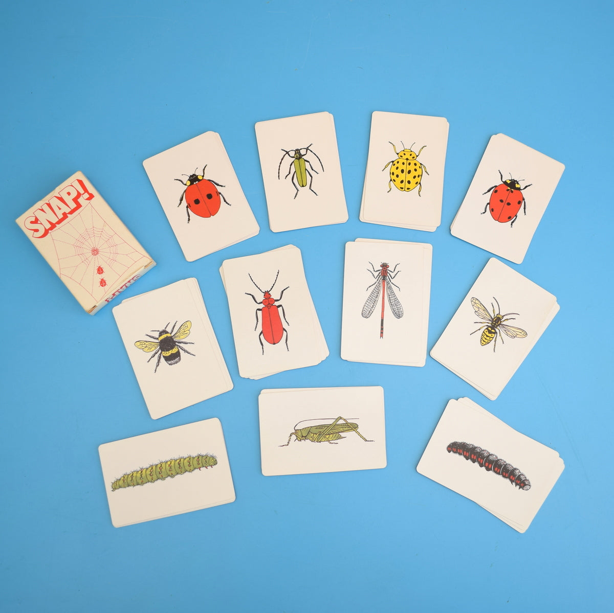 Vintage 1980s Bug Snap - by Patricia Calderhead