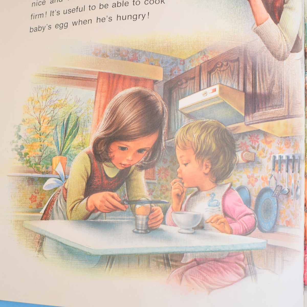 Vintage 1980s Book - Debbie - Cook & Countryside by Pineapple Retro