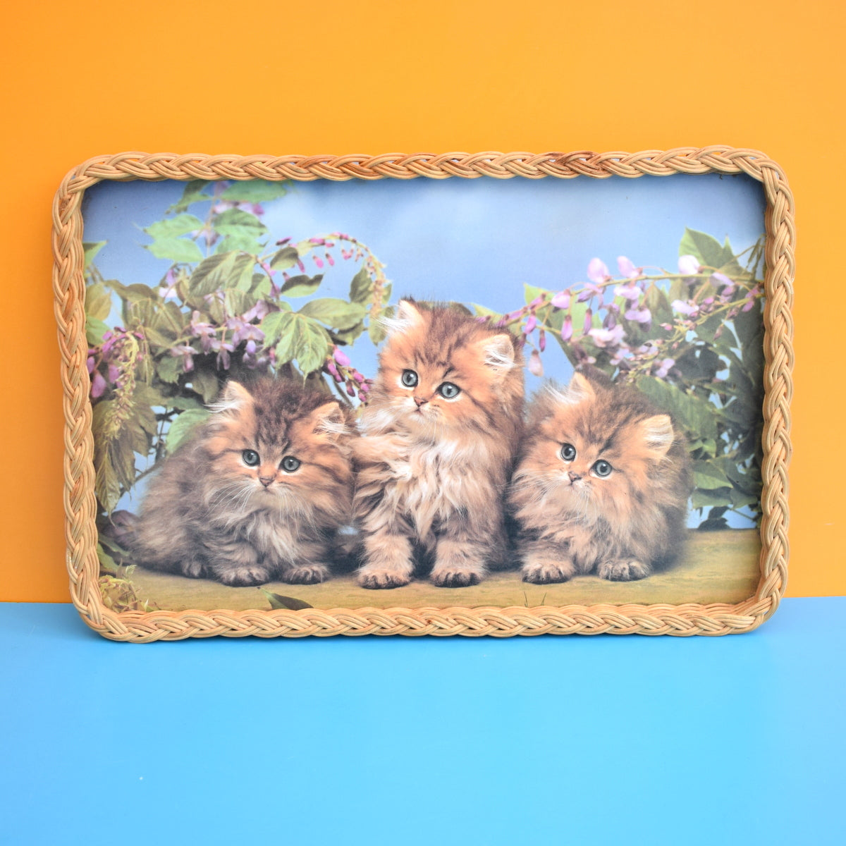 Vintage 1960s Kitsch Kitten Tray