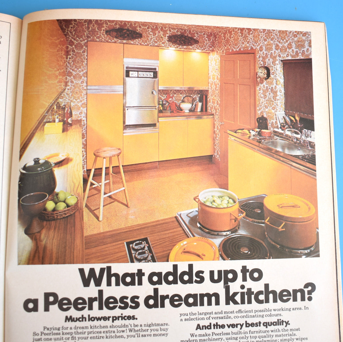 Vintage 1970s Inhabit Magazine - 1973 by Pineapple Retro
