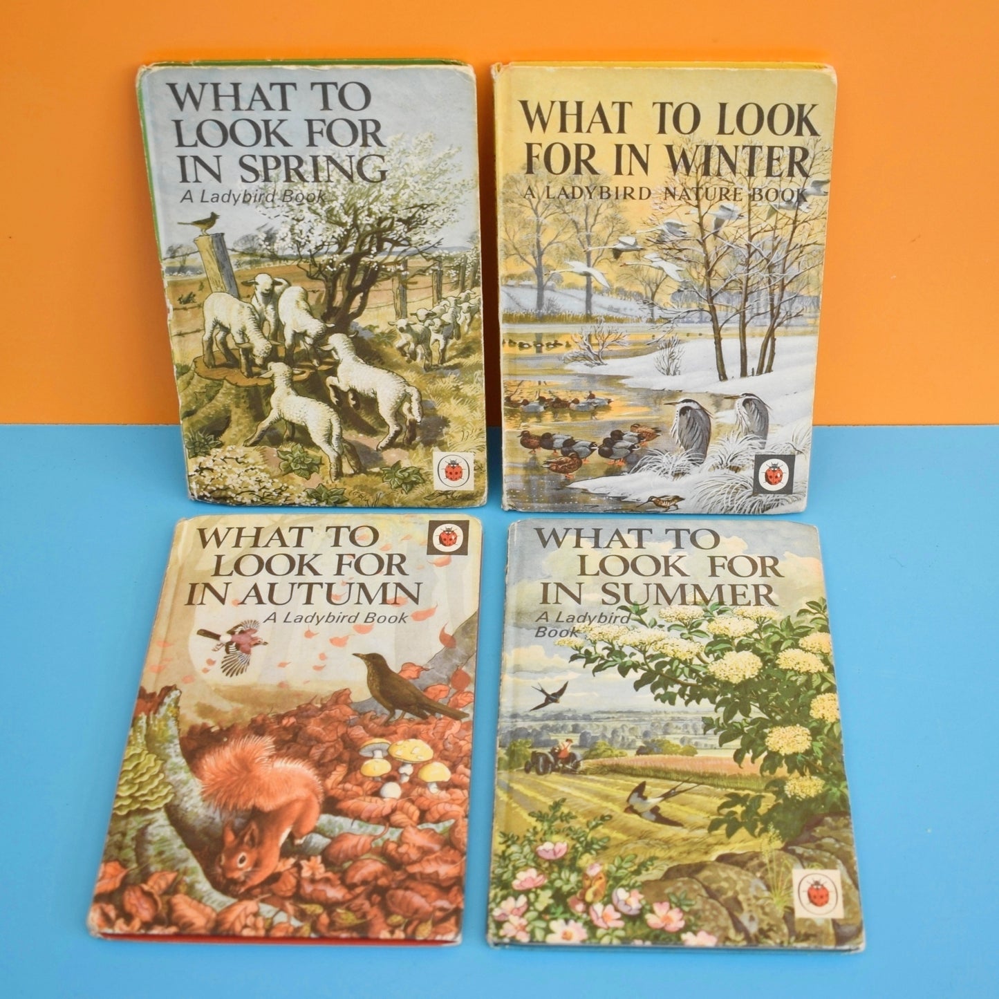 Vintage 1960s Ladybird Books - What to Look For In Spring / Summer /Autumn / Winter by Pineapple Retro