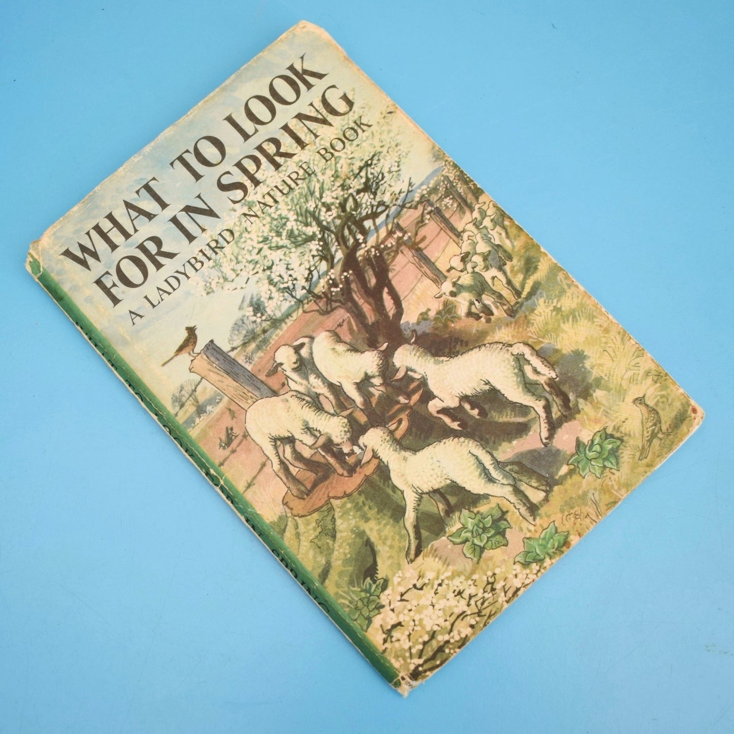 Vintage 1960s Ladybird Books - What to Look For In Spring / Summer /Autumn / Winter by Pineapple Retro