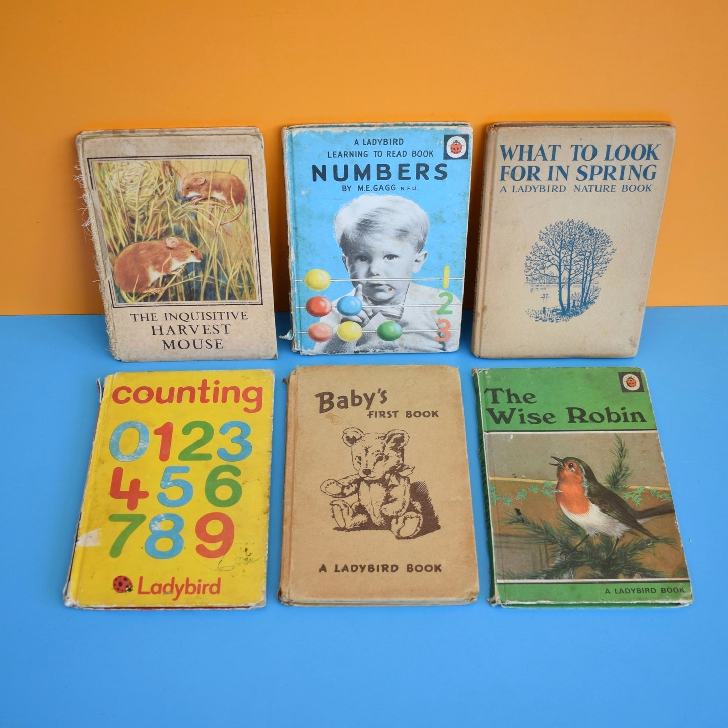 Vintage 1950s Damaged Ladybird Books For Craft