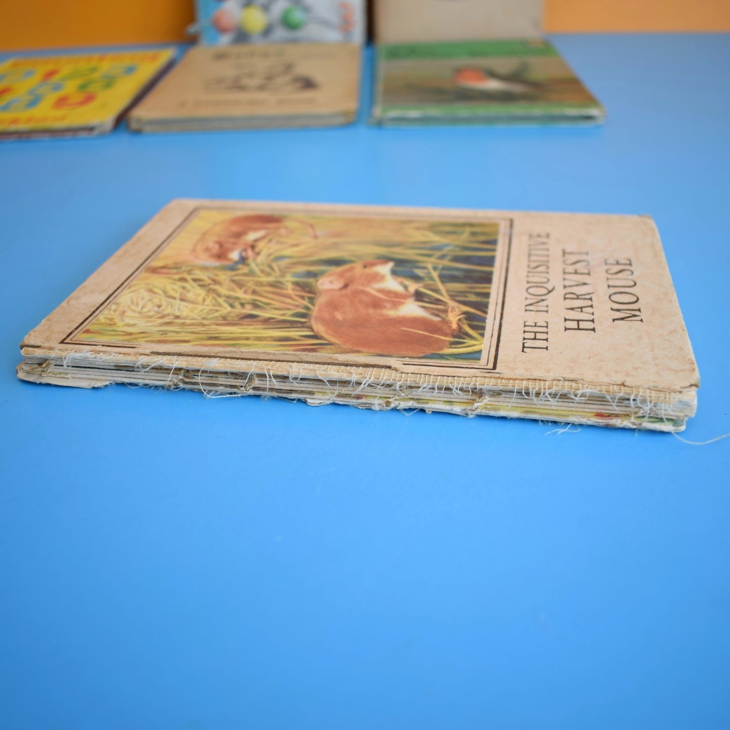 Vintage 1950s Damaged Ladybird Books For Craft