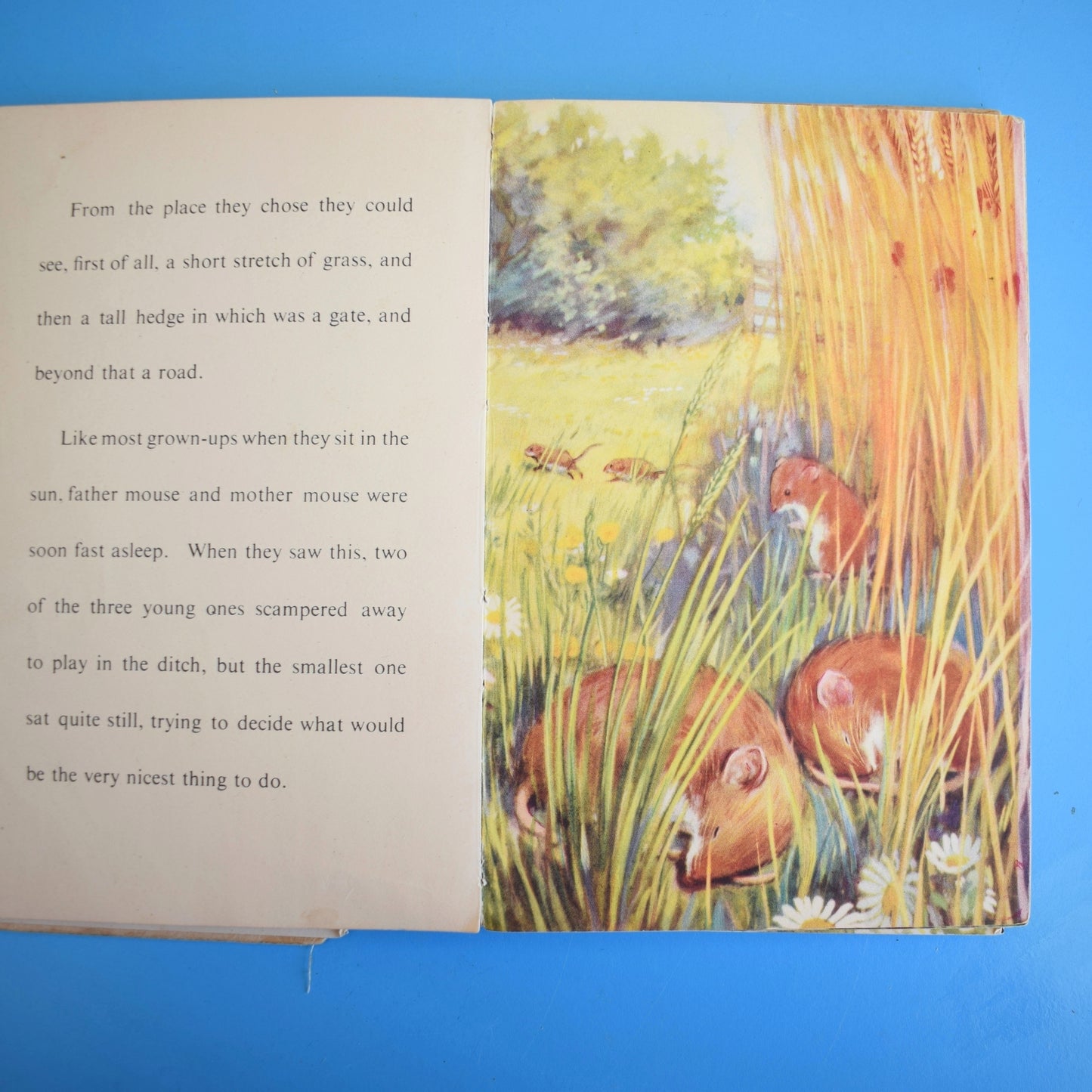 Vintage 1950s Damaged Ladybird Books For Craft
