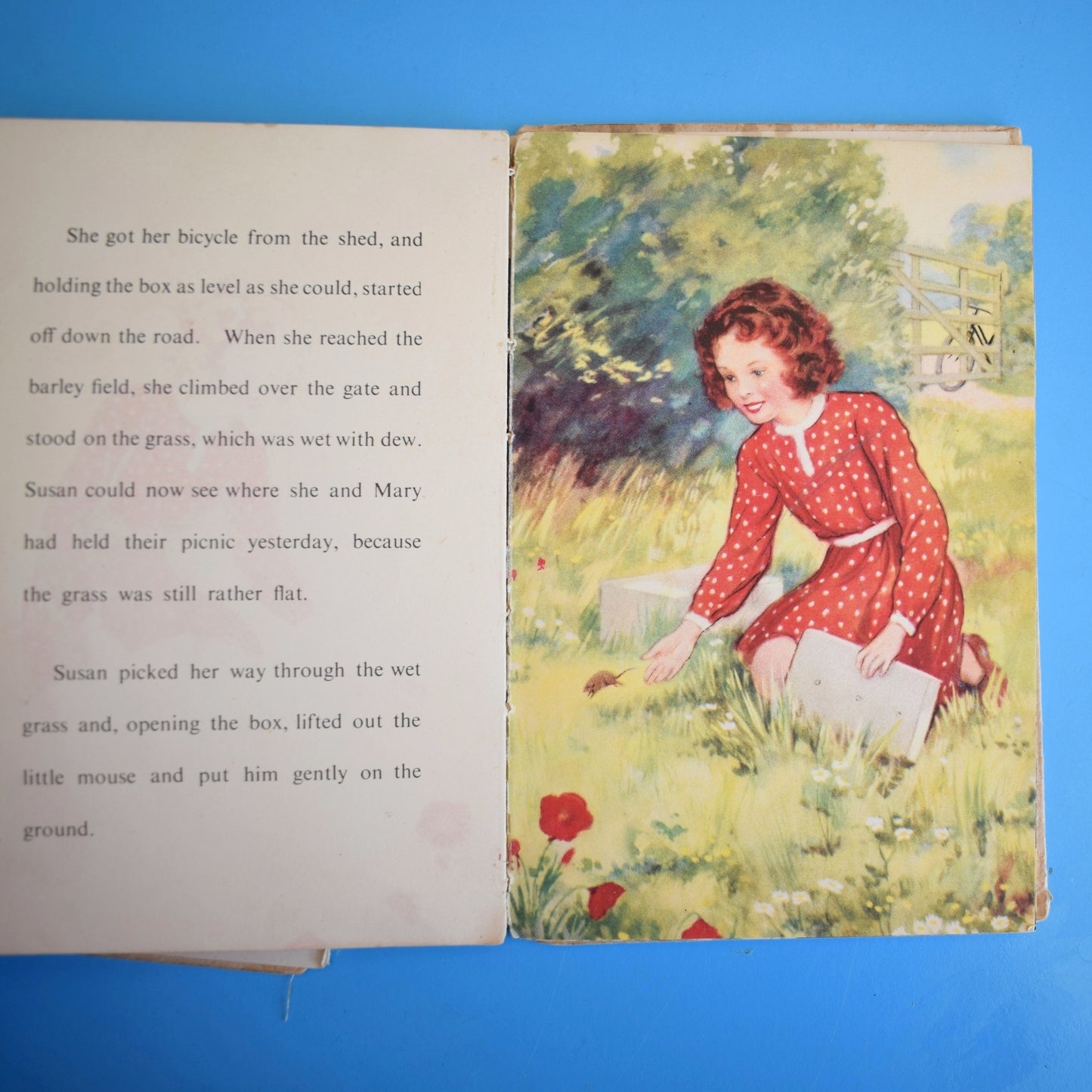 Vintage 1950s Damaged Ladybird Books For Craft
