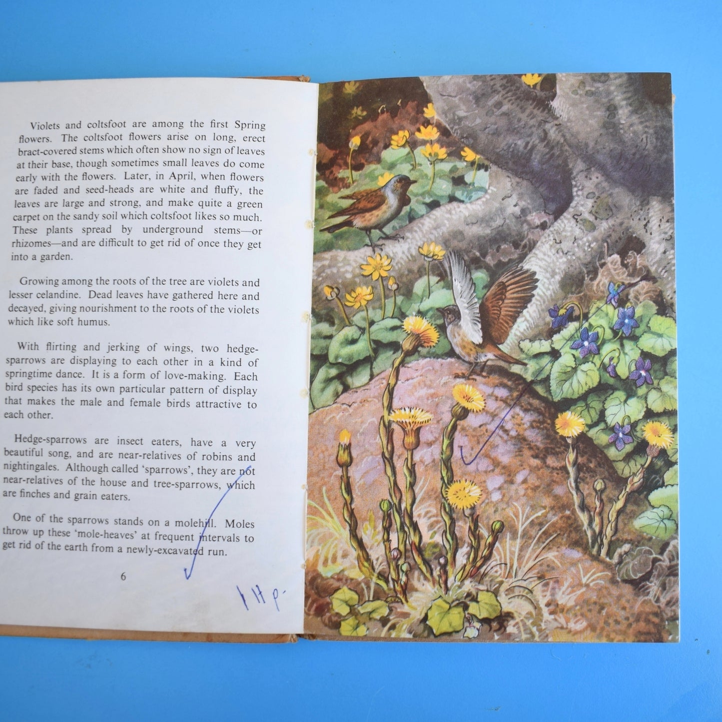 Vintage 1950s Damaged Ladybird Books For Craft