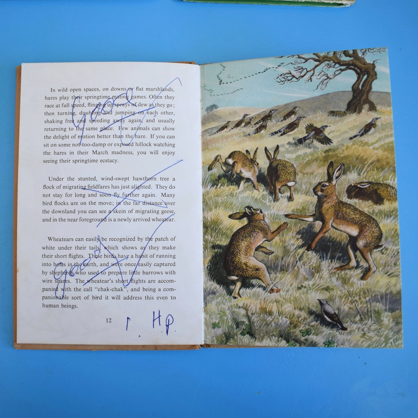 Vintage 1950s Damaged Ladybird Books For Craft