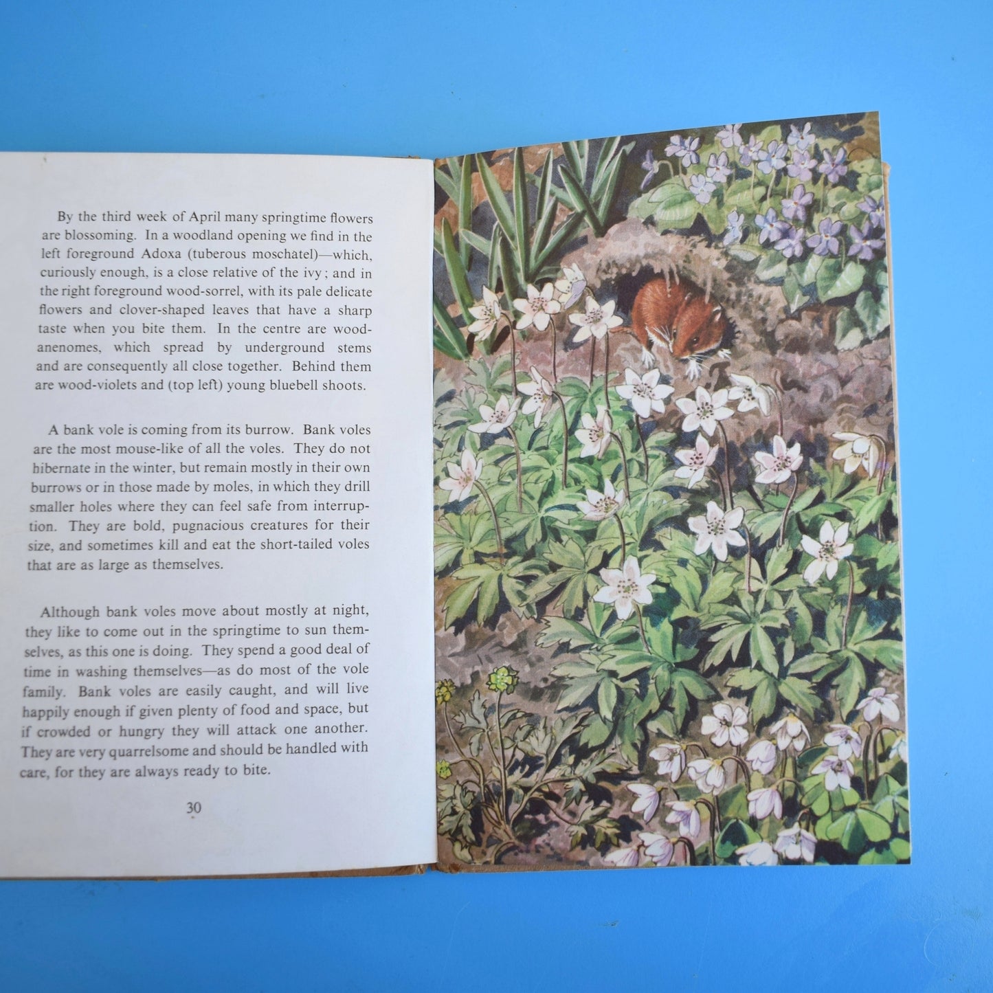 Vintage 1950s Damaged Ladybird Books For Craft