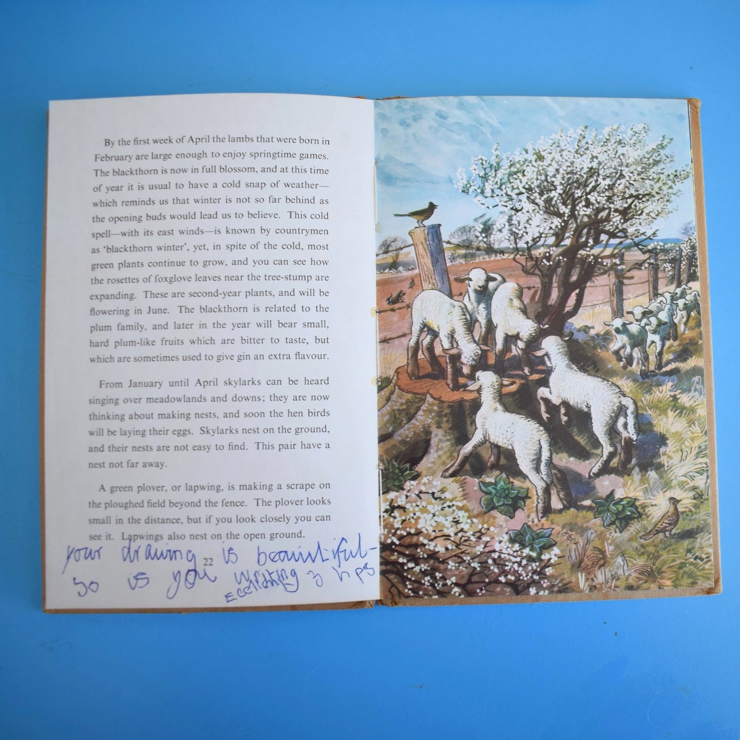 Vintage 1950s Damaged Ladybird Books For Craft