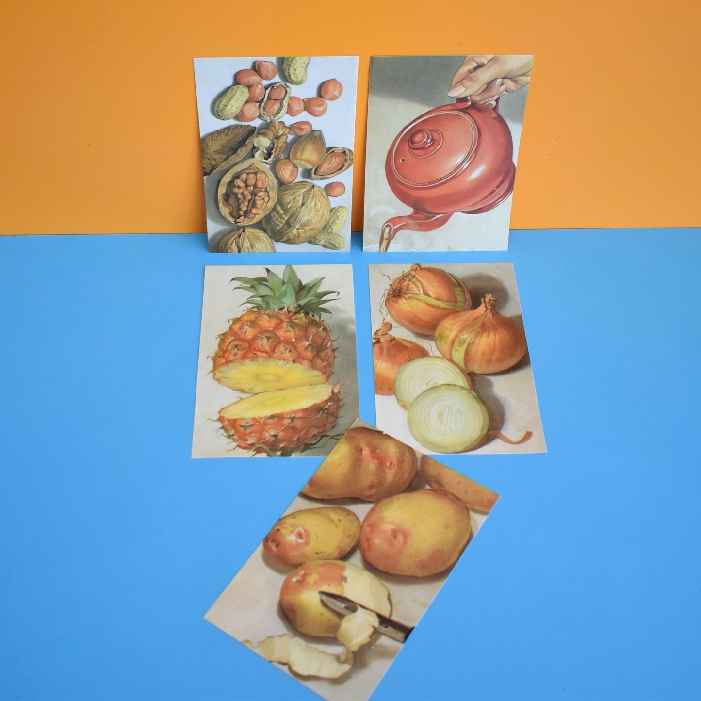 Vintage 1960s Ladybird Book Pages For Craft - Various