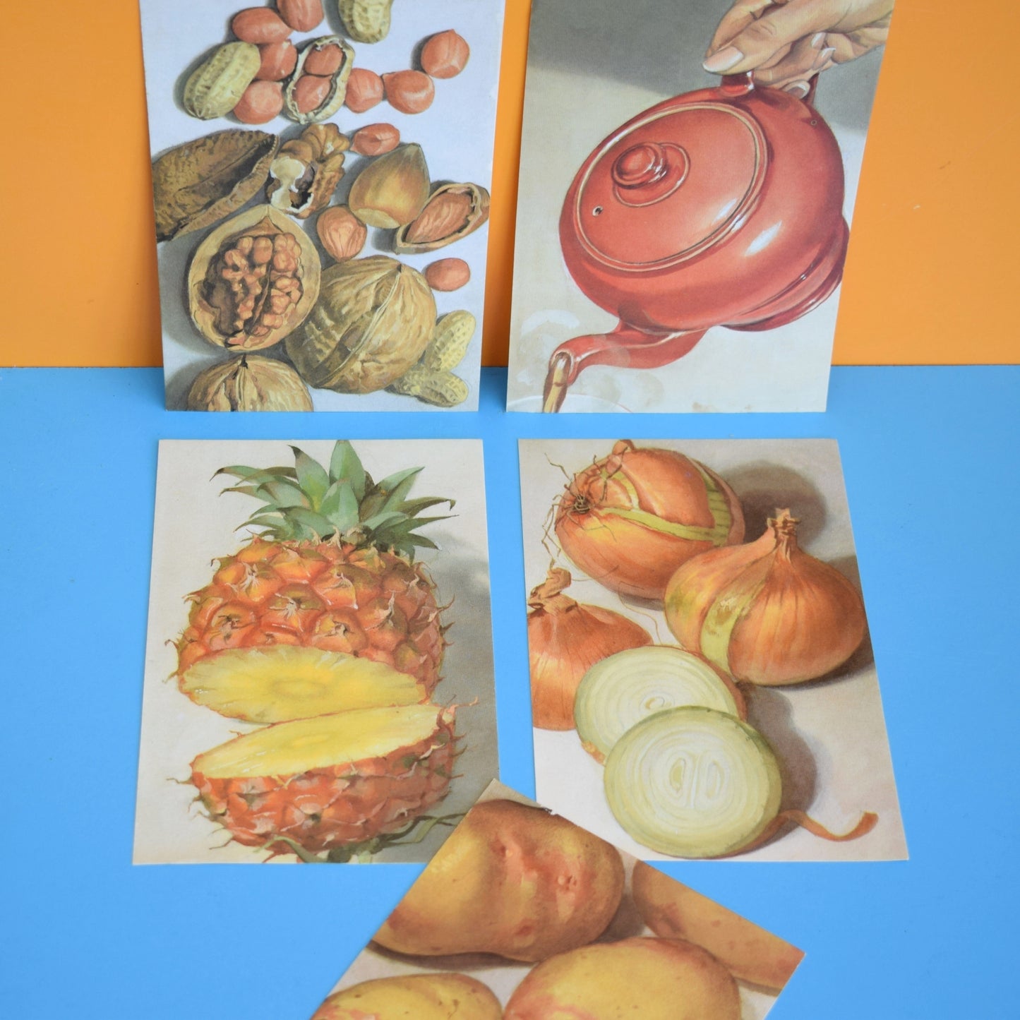 Vintage 1960s Ladybird Book Pages For Craft - Various