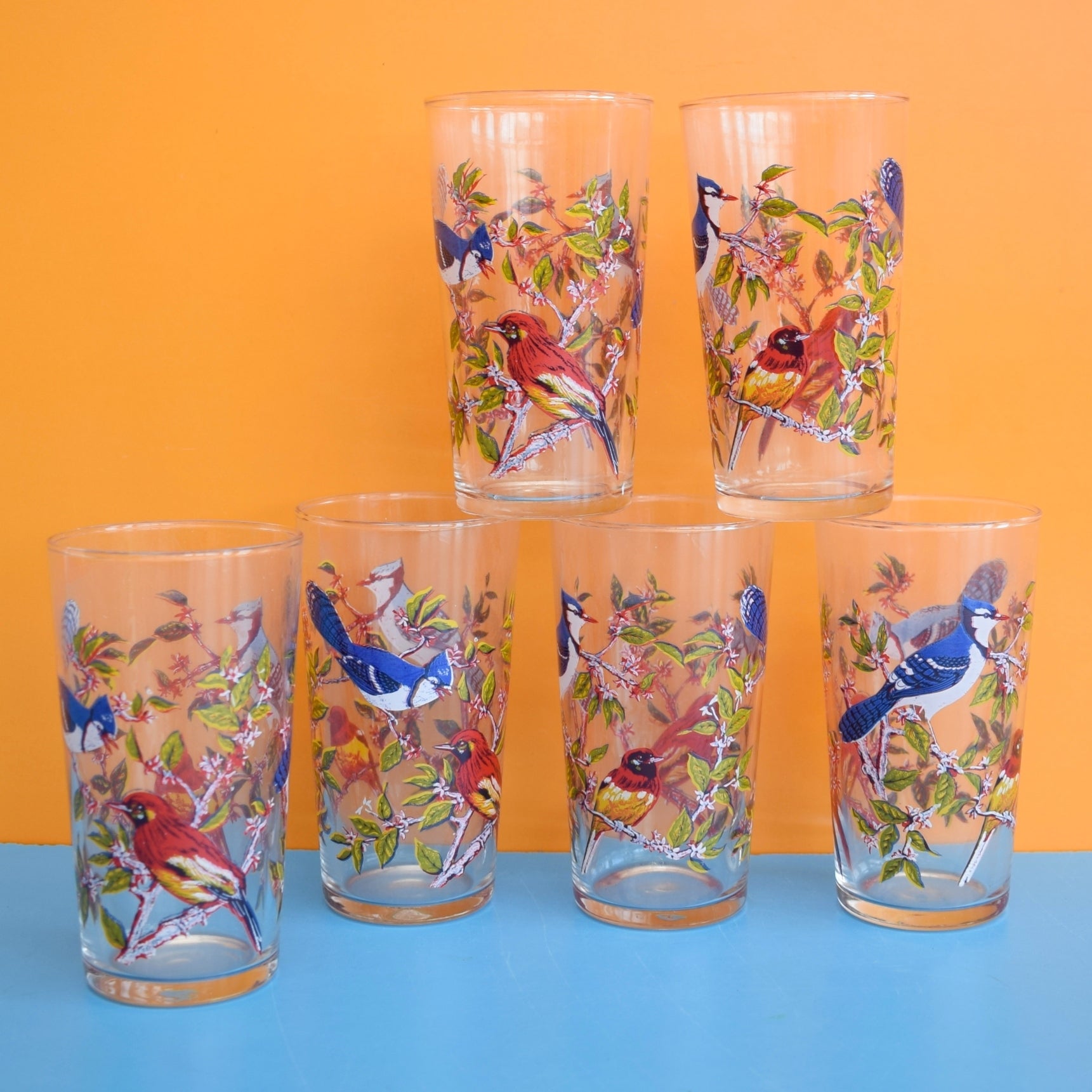 Vintage 1960s Drinking Glasses x6 - Bird Design by Vintage