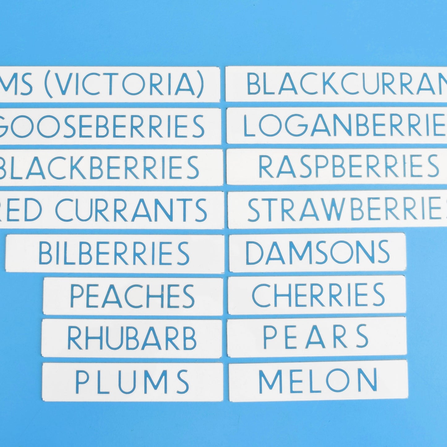 Vintage 1980s Small Plastic Supermarket Signs - Food - Fruit by Pineapple Retro