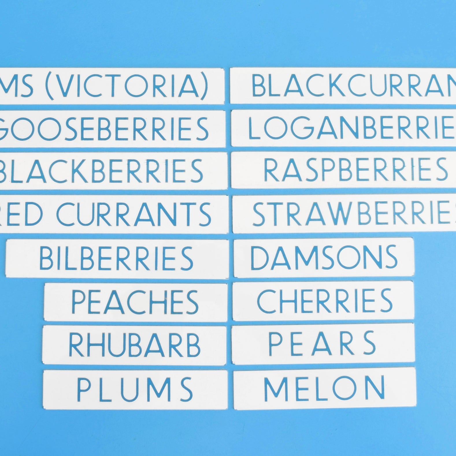 Vintage 1980s Small Plastic Supermarket Signs - Food - Fruit by Pineapple Retro