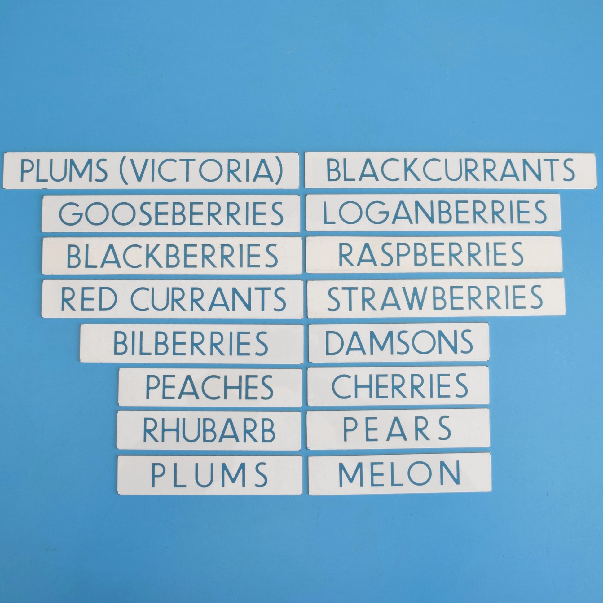 Vintage 1980s Small Plastic Supermarket Signs - Food - Fruit by Pineapple Retro