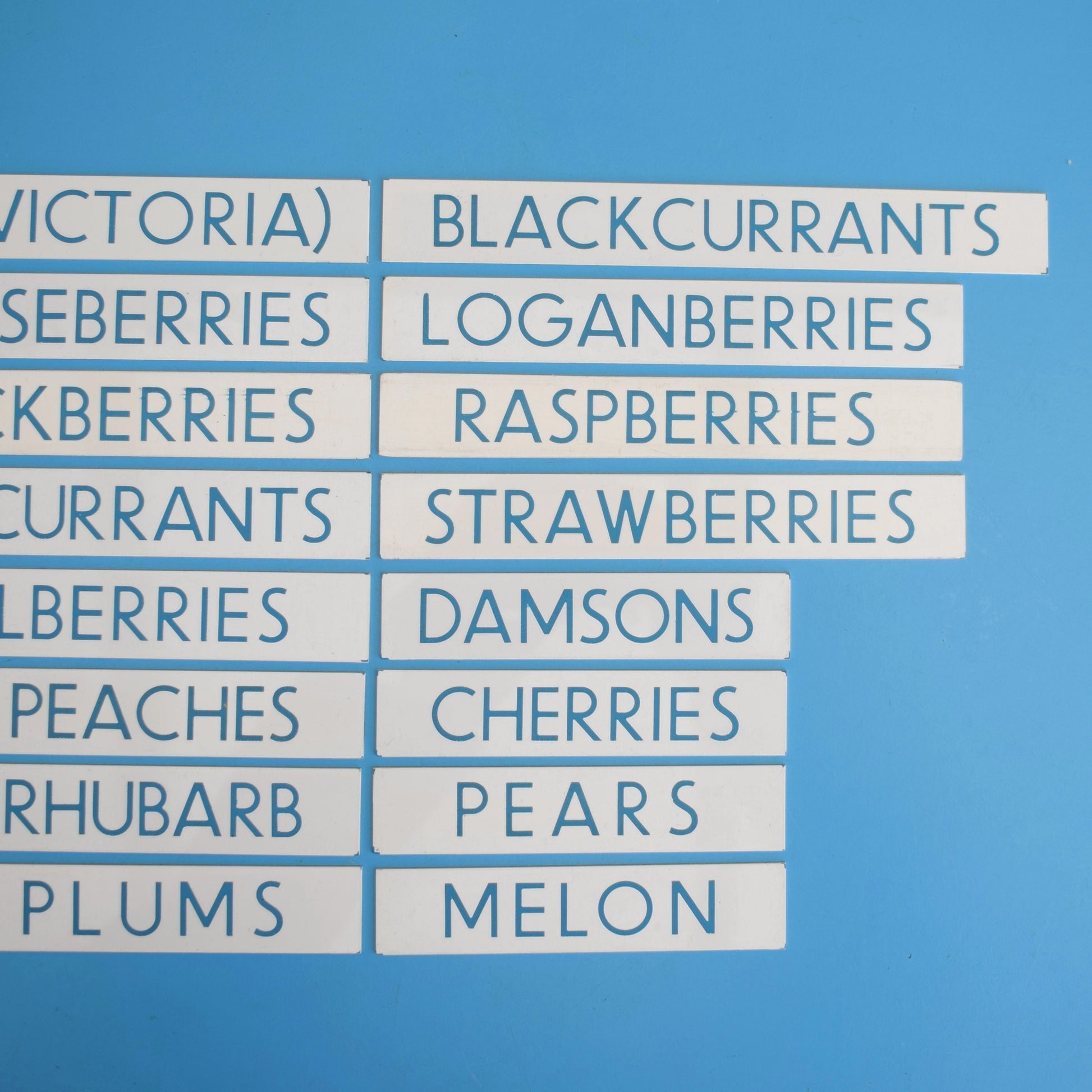 Vintage 1980s Small Plastic Supermarket Signs - Food - Fruit by Pineapple Retro