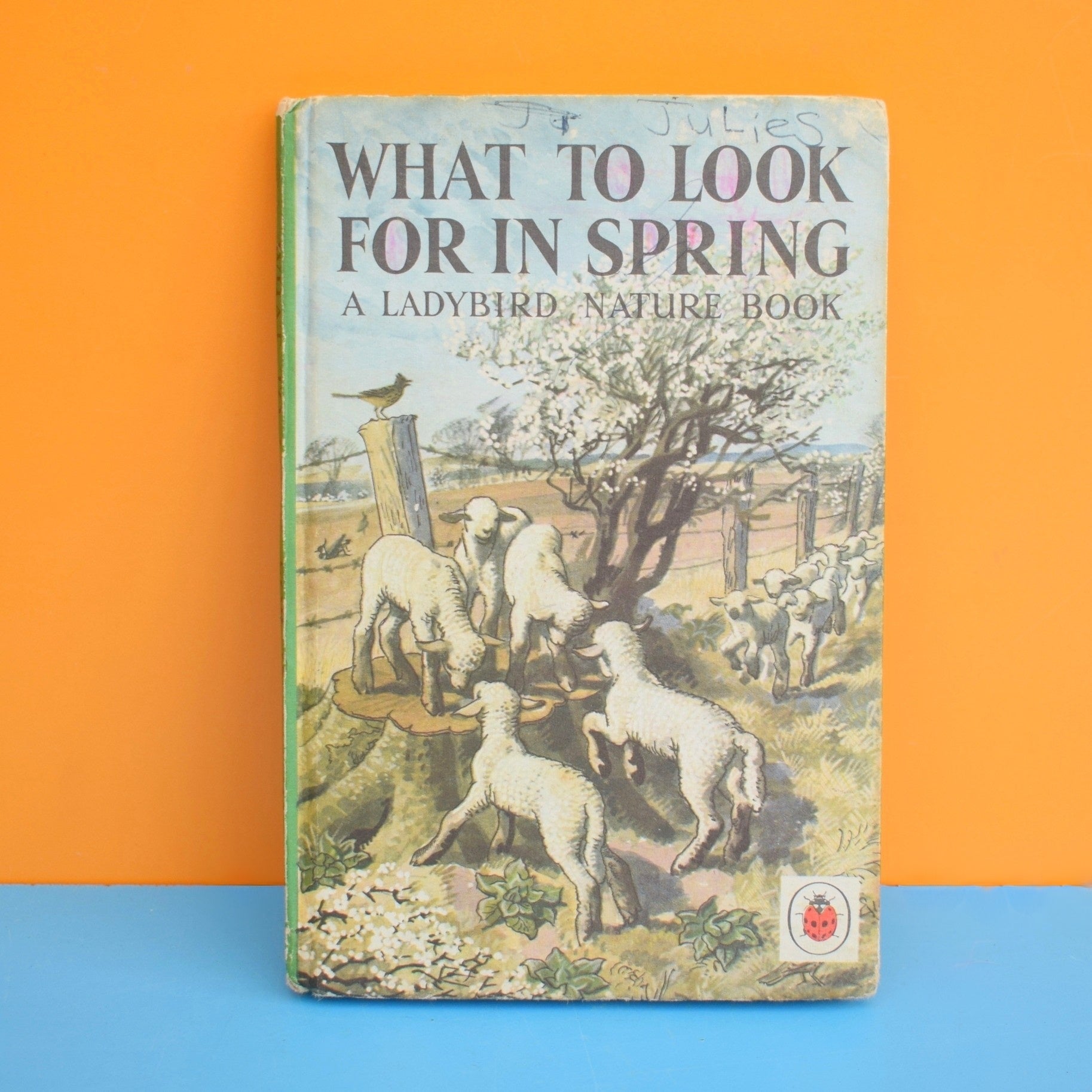 Vintage 1960s Ladybird Book - What to Look For In Spring / Summer by Pineapple Retro