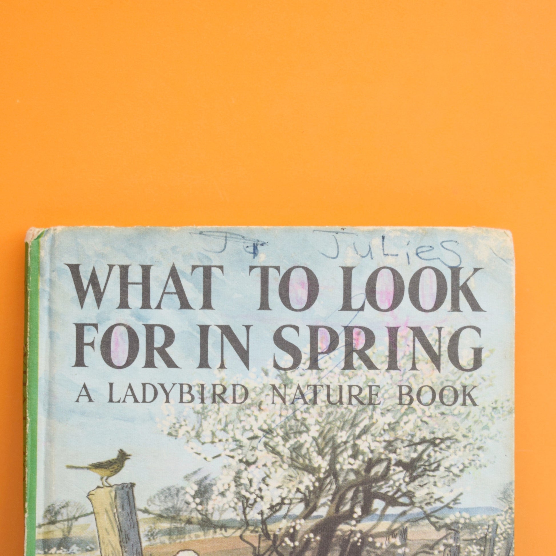 Vintage 1960s Ladybird Book - What to Look For In Spring / Summer by Pineapple Retro